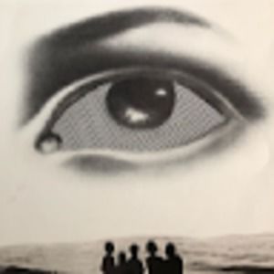 Meet your Posher, Fae